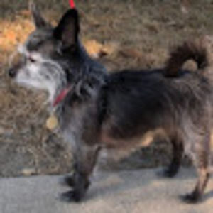 Meet your Posher, Addie